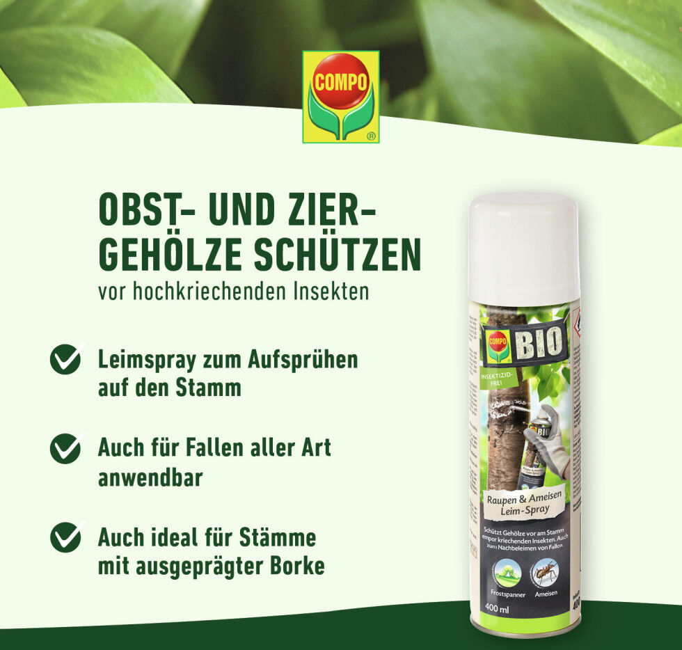 Compo Bio Leimspray gegen Raupen & Ameisen 400 ml