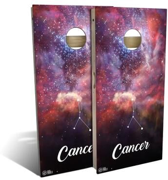 Skip's Garage Cancer Outdoor Cornhole Board Set
