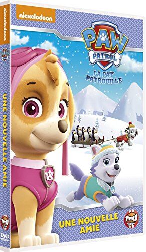 Paw patrol, vol. 6 : une nouvelle amie [FR Import] - Preis vom 11.10.2026 03:10:56 h