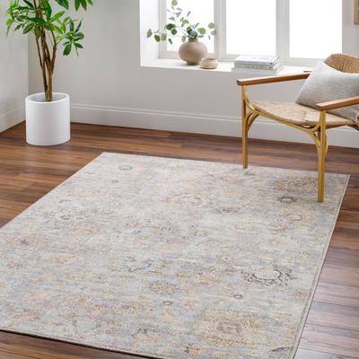 Our PNW Home x Livabliss Olympic Updated Traditional Area Rug
