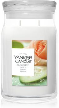 Yankee Candle Blooming Love vela perfumada 567 g. Blooming Love