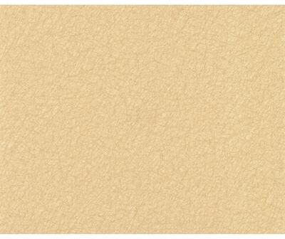 750 Home Tossed Fibers Tan Wallpaper
