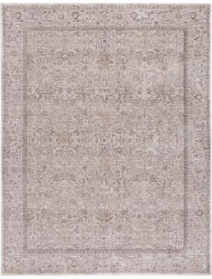 SAFAVIEH Republica Trijntje Traditional Rug - 8' x 10'