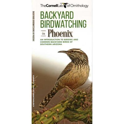 Backyard Birdwatching in Phoenix, Geheftet von The Cornell Lab of Ornithology,Waterford Press, Globe Pequot Publishing Group Inc, 978-1-62005-358-4