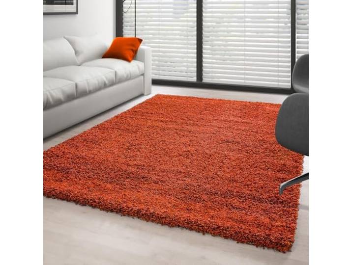 Ayyildiz Tapis Shaggy Pile Longue Couleur Unique Terracotta - 120x170 cm