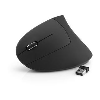 MediaRange MROS233 2.4 GHz schwarz (kabellos)