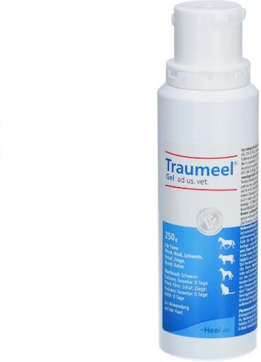 Heel TRAUMEEL Gel ad us. vet. (250 g)