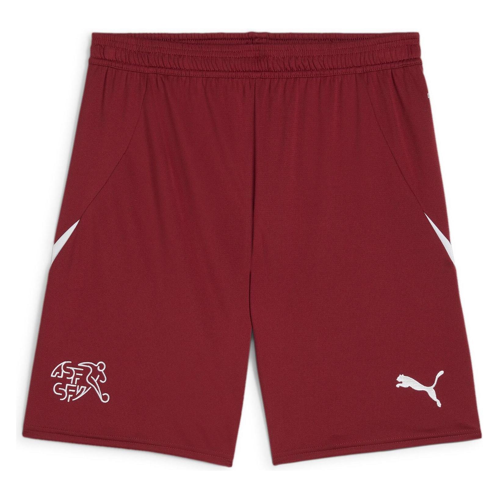 Puma SFV Shorts Replica (XXL) (773975_03)