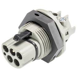 Wieland Electric 99.578.0000.7 Geräteanschluss