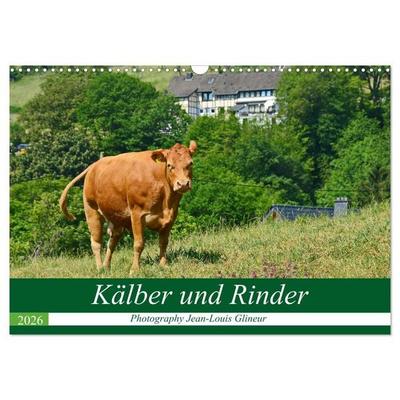Kälber und Rinder (Wandkalender 2026 DIN A3 quer), CALVENDO Monatskalender