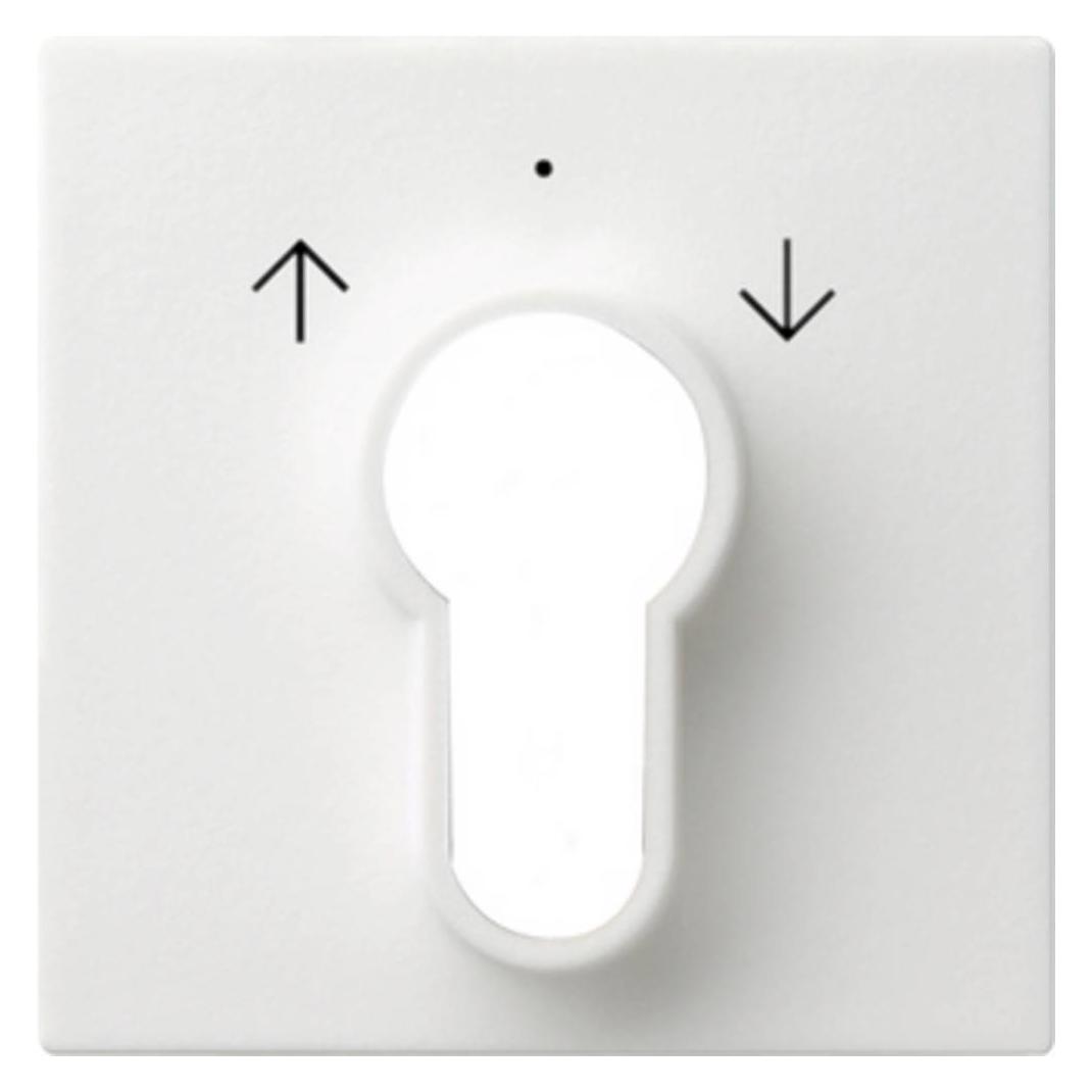 Gira Abdeckung Schlüssel 066403 System 55 reinweiss (066403)