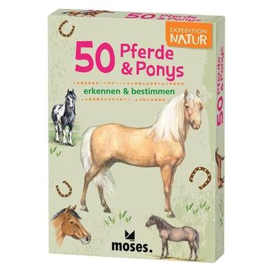 Expedition Natur - 50 Pferde & Ponys