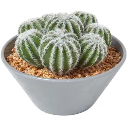 KUNSTPFLANZEN Kakteen-Arrangement im Deko-Topf, 17 cm