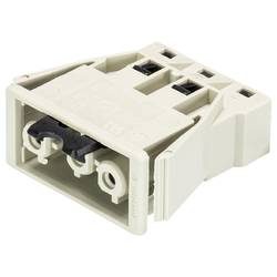 Wieland Electric 92.031.9758.0 Geräteanschluss
