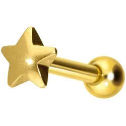 Titan Ohrpiercing mit Innengewinde STERN