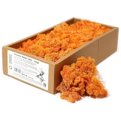 Quality Decoration Reindeer Moss - Orange - 635g Box