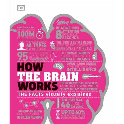 How the Brain Works, Gebundene Ausgabe von DK, Dorling Kindersley, 978-0-241-40337-2