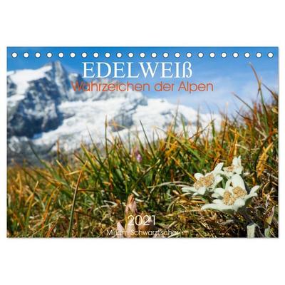 Edelweiß - Wahrzeichen der Alpen (Tischkalender 2026 DIN A5 quer), CALVENDO Monatskalender