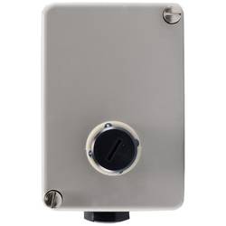 Jumo 60001290 2-Punkt-Regler Temperaturbegrenzer -20 bis 230 °C Relais 10 A