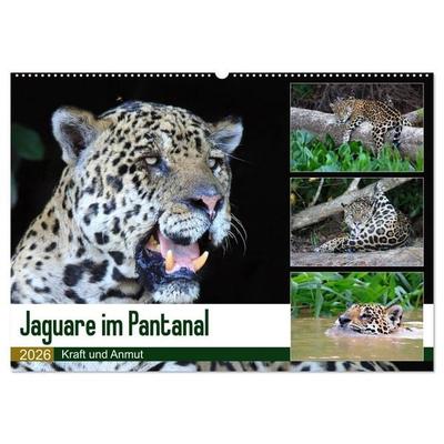 Jaguare im Pantanal (Wandkalender 2026 DIN A2 quer), CALVENDO Monatskalender