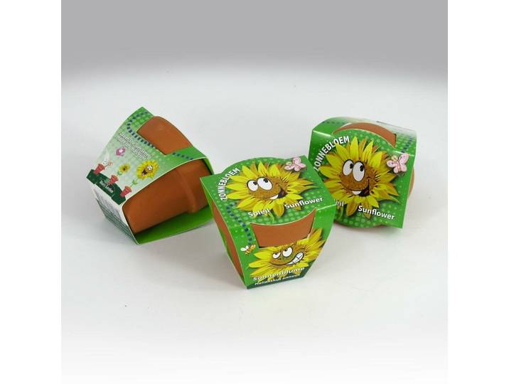 Greengift Terracotta Zonnebloem gezicht