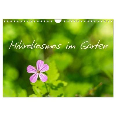 Mikrokosmos im Garten (Wandkalender 2026 DIN A4 quer), CALVENDO Monatskalender