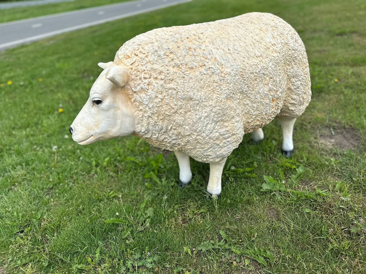 Goodyz Boerderij Dieren Texelse Schaap XXL Staand