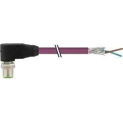 Murrelektronik M12-Stecker gewinkel 7000-14081-8400500