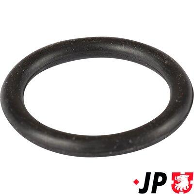 JP GROUP Dichtung, Ölsieb 1119507300 für GEELY VAG BMW