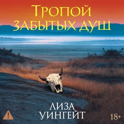 Tropoy zabytyh dush - Lisa Wingate, Audio, 9785389317994
