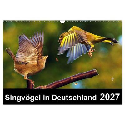 Singvögel in Deutschland (Wandkalender 2027 DIN A3 quer), CALVENDO Monatskalender