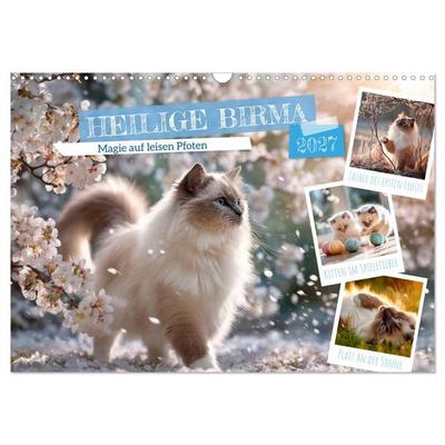 Heilige Birma - Magie auf leisen Pfoten (Wandkalender 2027 DIN A3 quer), CALVENDO Monatskalender