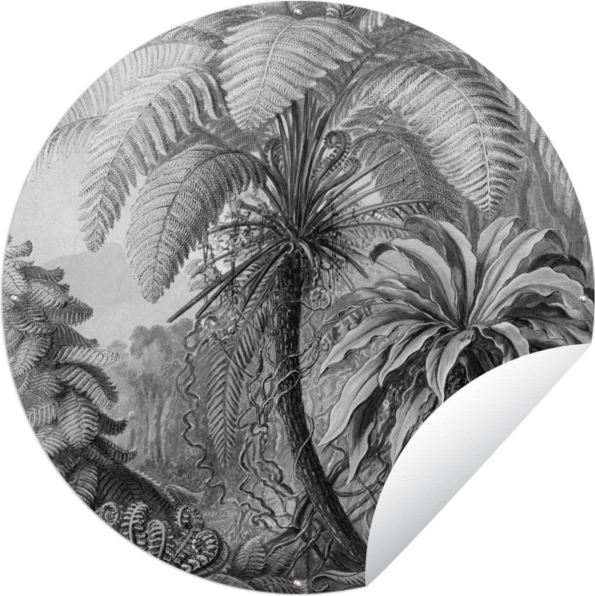 Ronde Tuinposter Tuincirkel Planten - Zwart wit - Botanische Illustratie - 60 x 60 cm