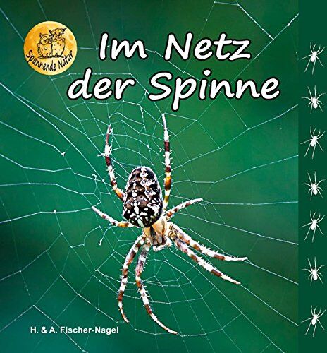 Heiderose Fischer-Nagel - Im Netz der Spinne - Preis vom 09.10.2026 07:28:09 h