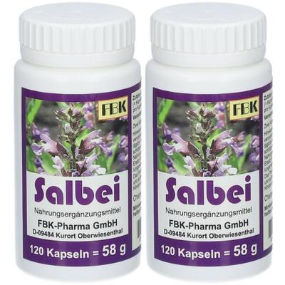 Salbei Kapseln 2x 2x120 St
