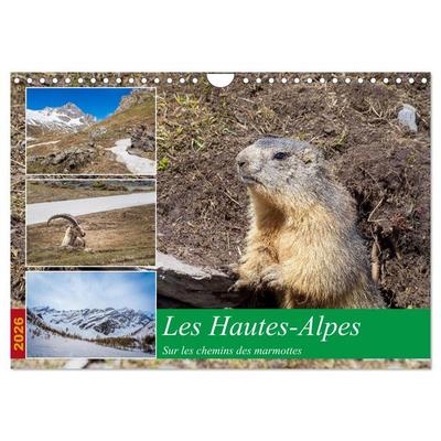 Les Hautes-Alpes sur les chemins des marmottes (Calendrier mural 2026 DIN A4 vertical), CALVENDO calendrier mensuel