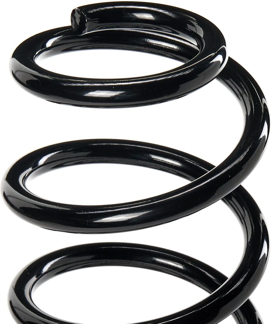 RIDEX 188C0490 Coil spring