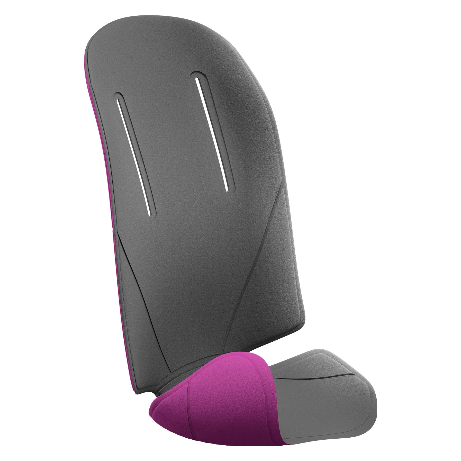 Thule RideAlong Padding Grey/purple (100402)