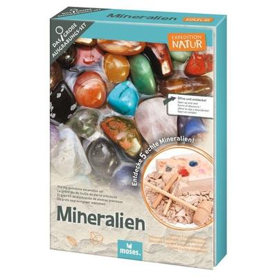 Expedition Natur Das große Mineralien-Ausgrabungs-Set