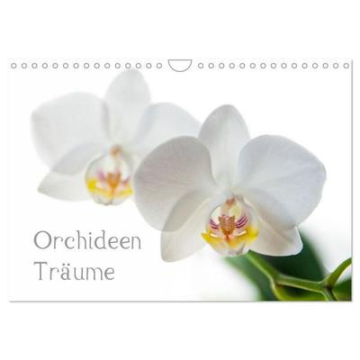 Orchideen Träume (Wandkalender 2027 DIN A4 quer), CALVENDO Monatskalender