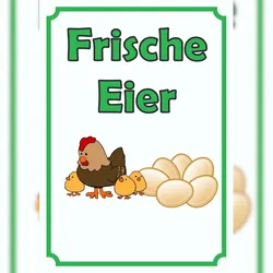 HB-Druck Verkaufsschild Schild Eier Hochkant A6 (105x148mm)