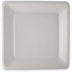 50x BIO Zuckerrohrteller 26x26cm quadratisch Einwegteller aus Zuckerrohr