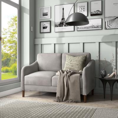 Denhour DH BASIC Modern 52-inch Velvet Upholstered Loveseat with Cushions