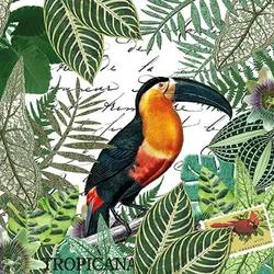 Ambiente 20 Servietten Papier 33x33cm 3-lag - hochwertige Einweg Papierservietten Tukan Tropen Jungle Blättermotiv Partyservietten exotisch Dschungel Tischdeko