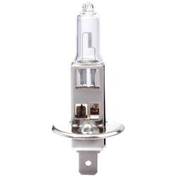 IWH 019352 Halogen Leuchtmittel H1 55 W 12 V