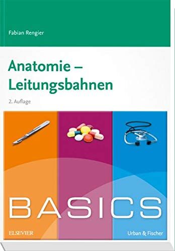 Fabian Rengier - BASICS Anatomie - Leitungsbahnen - Preis vom 12.10.2026 11:37:12 h