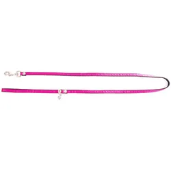Martin Sellier Pois (Hund, Allgemein, Spazieren), Halsband + Leine