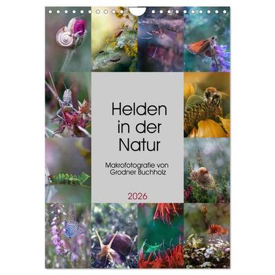 Helden in der Natur (Wandkalender 2026 DIN A4 hoch), CALVENDO Monatskalender