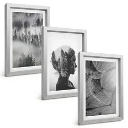BILDER SET 3er Set - 20x30 cm Silberner Rahmen - Waldnebelporträt Baum Löwenzahn