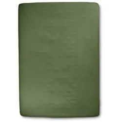 Collection Noblesse Spannbettlaken 100 x 200 cm Jersey Grün